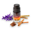 Picture of BUGATTI DYNAMIC MOVE FOR AMBER 100ML